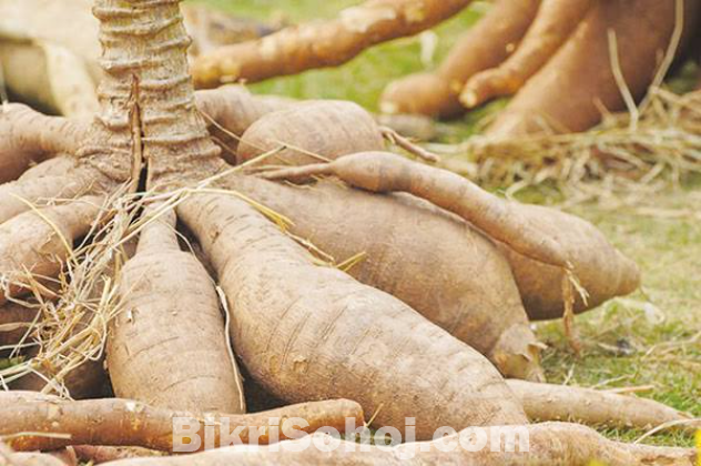 Shimul Mul শিমূল মূলের পাউডার